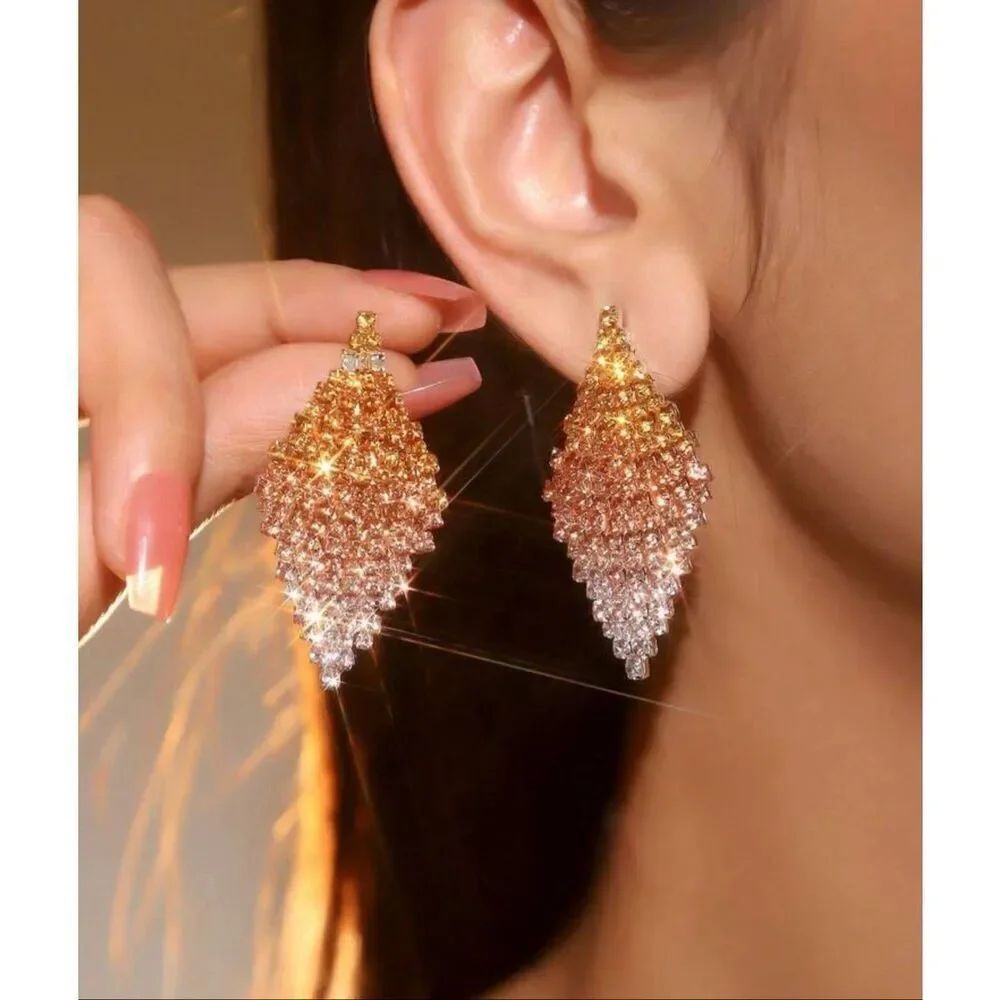 Gorgeous Ombré Earrings
